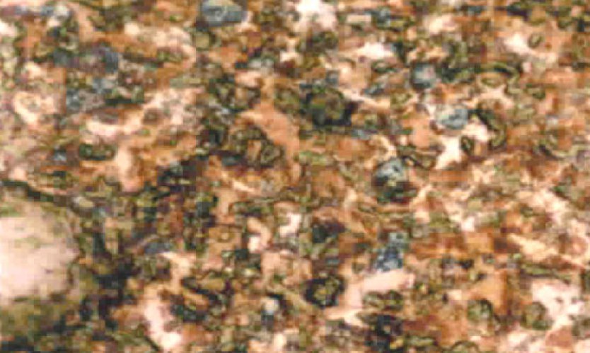 Figure 4: Optical micrograph of clinker from raw mix RM-3.