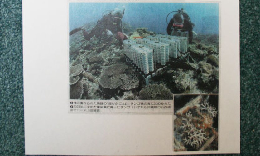Japanese newspapers report on slag use in coral reefs.
