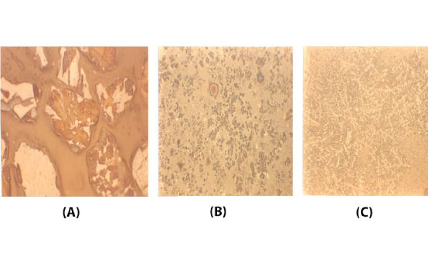 Figure 5 - Microstructure of LD steel slag before (A)  and after  melt-quench experiment on lab scale in Pt crucible (B and C) after NITAL etching.